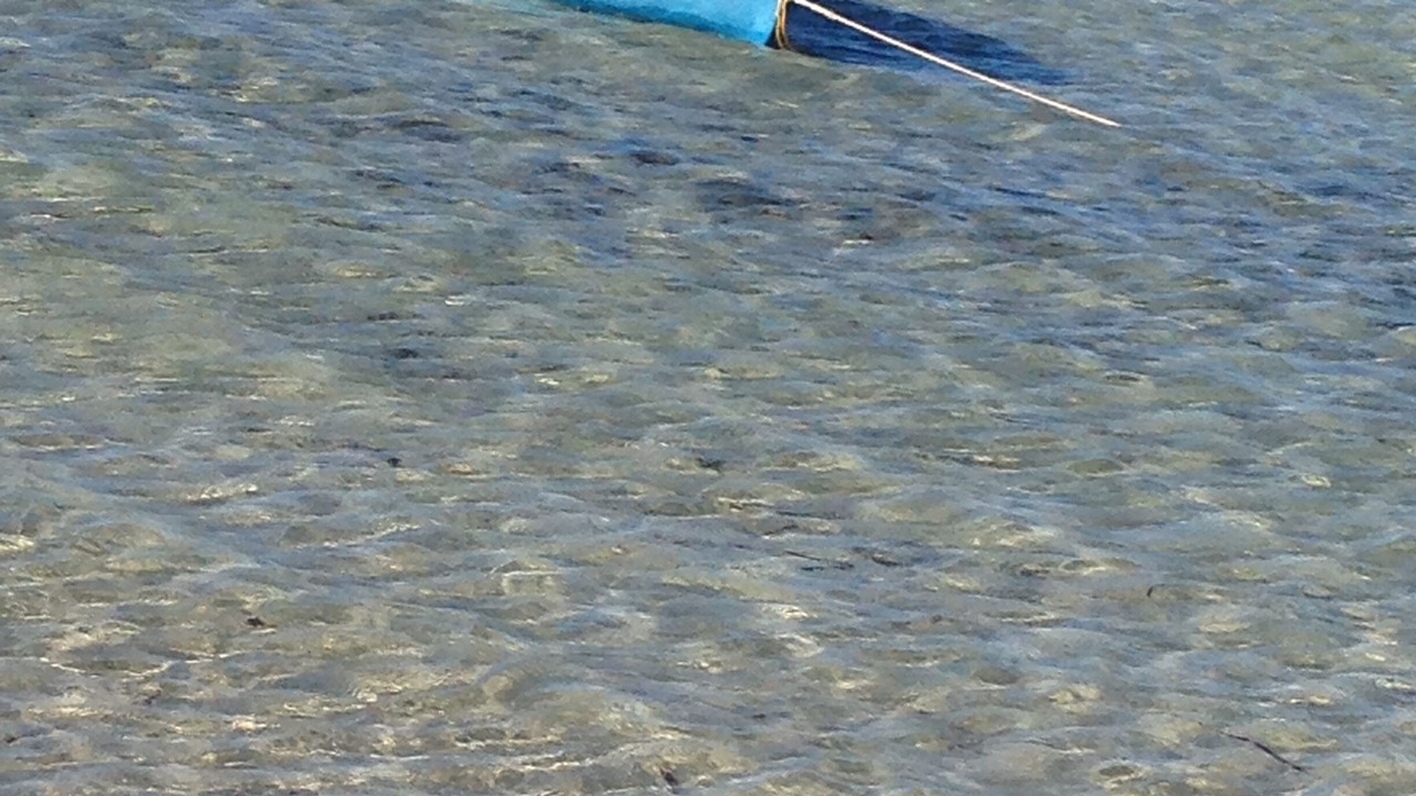 Photo of Others in Island Beach