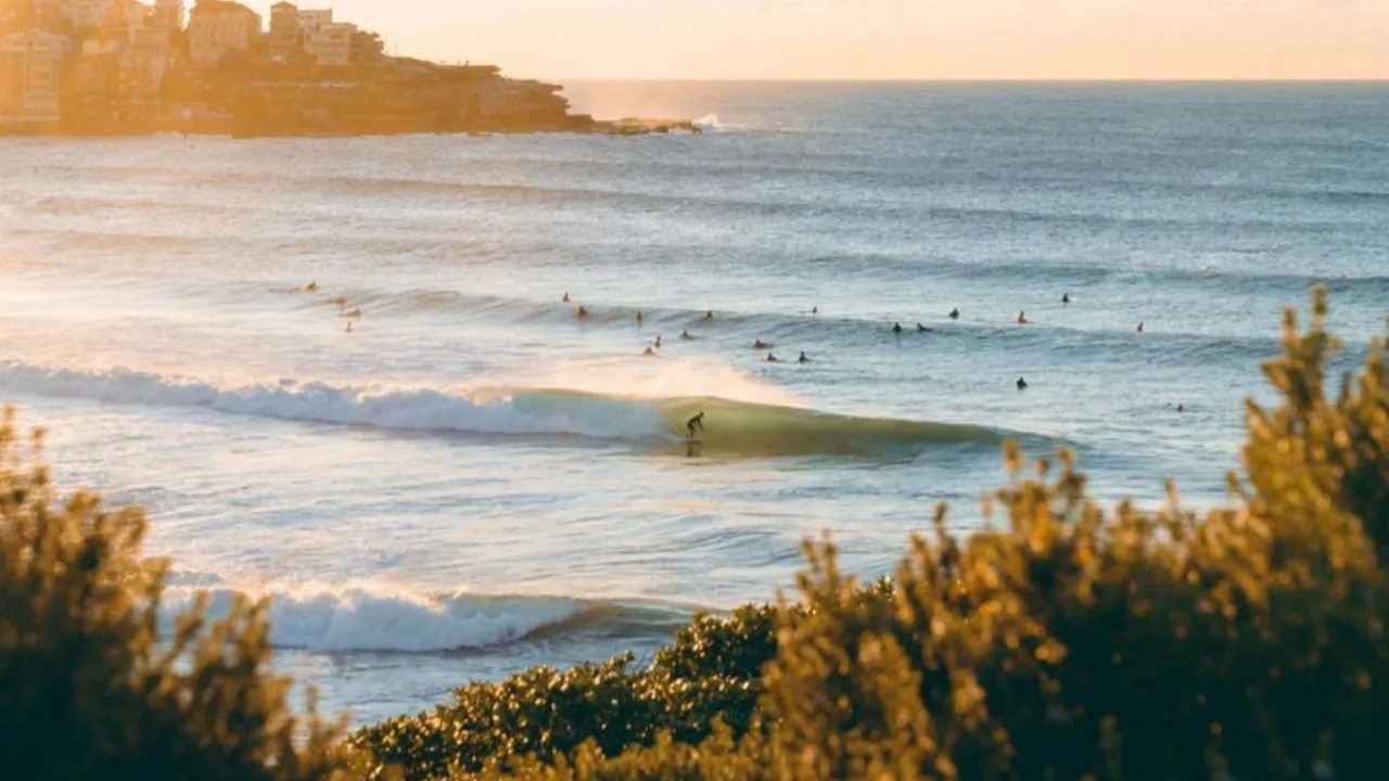 Photo of Others in Bondi Beach