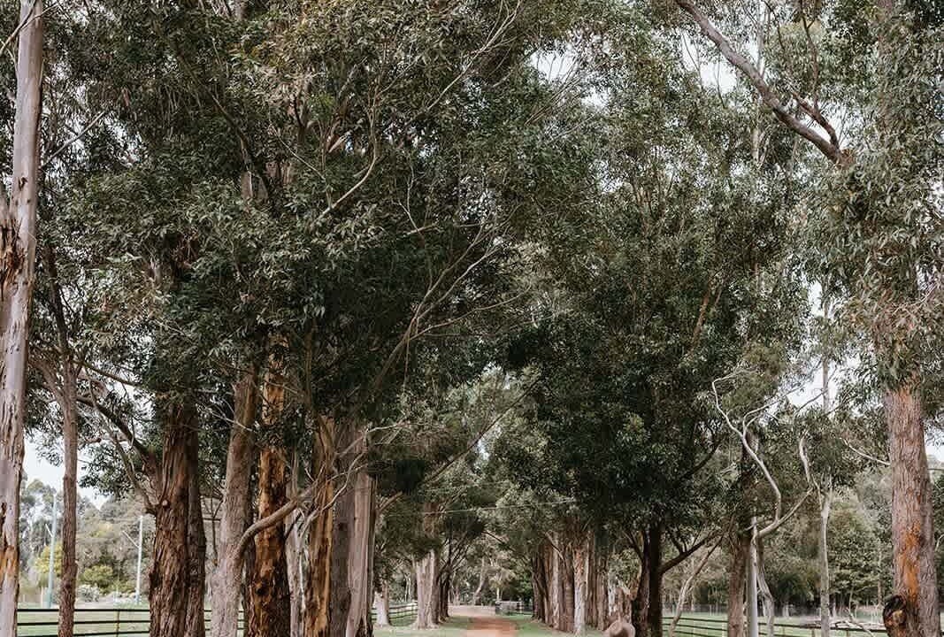 Photo of Others in Margaret River