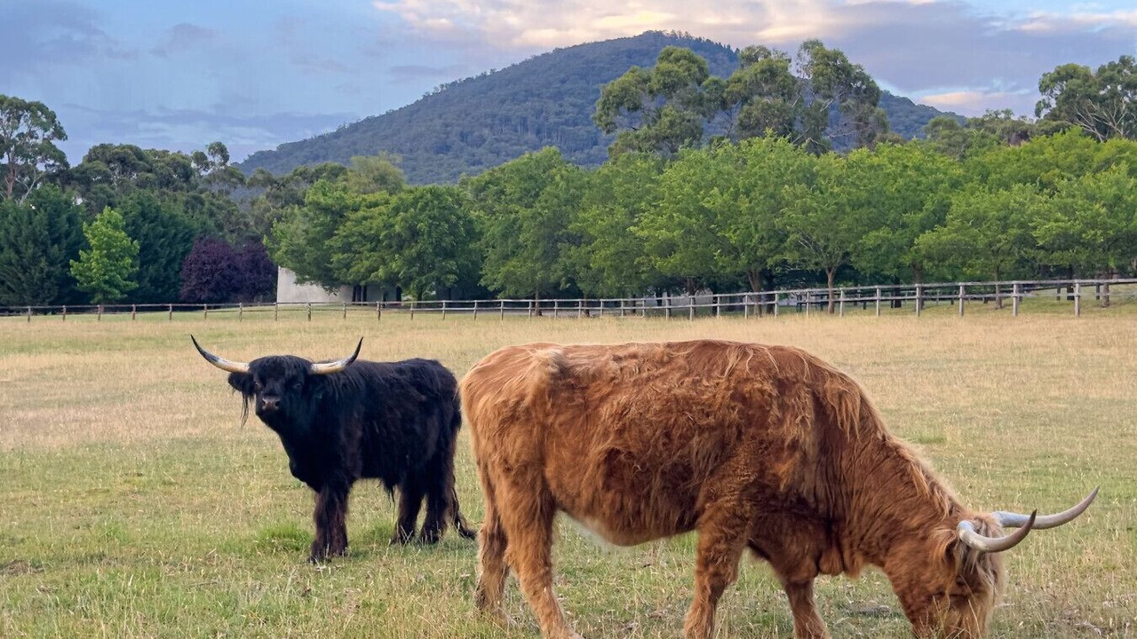 Photo of Others in Mount Macedon