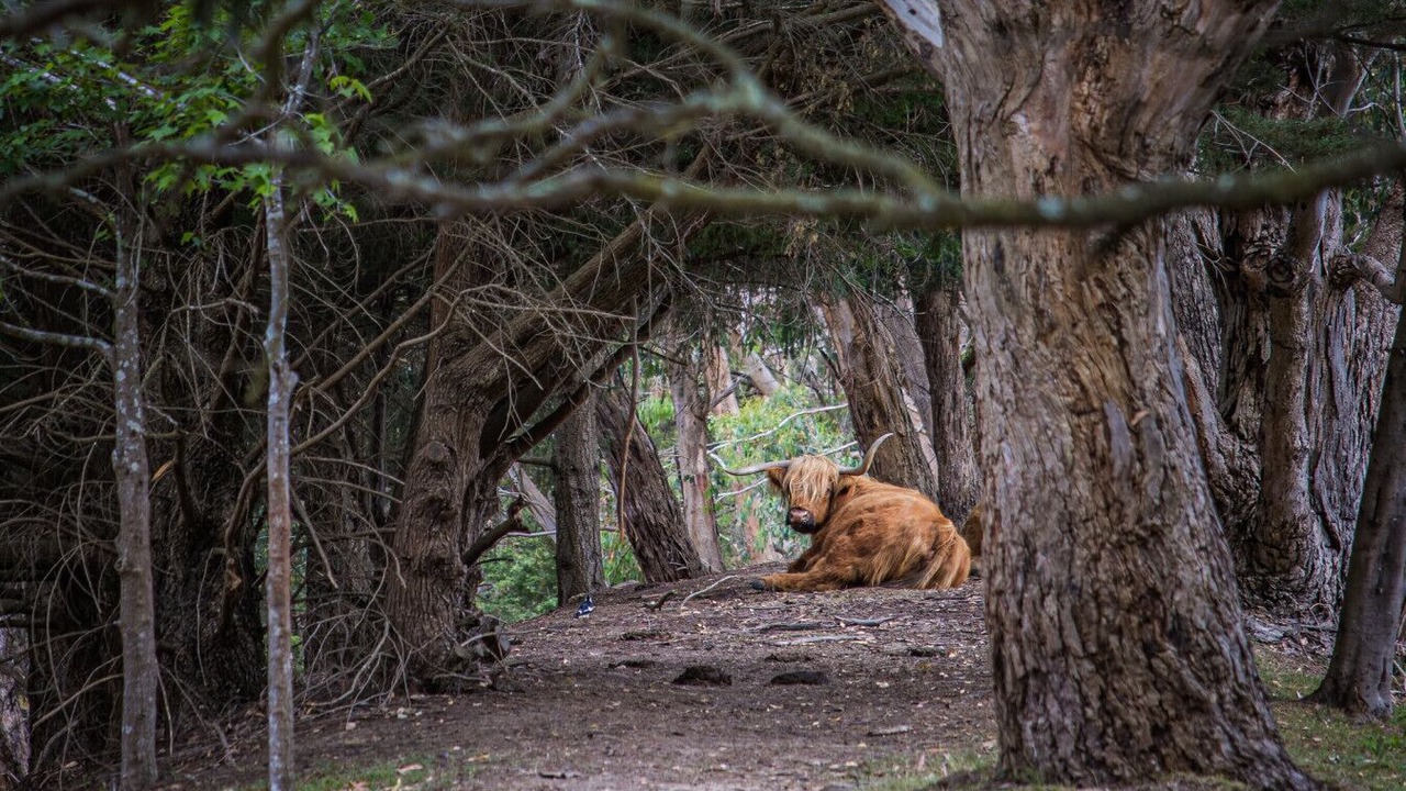 Photo of Others in Mount Macedon