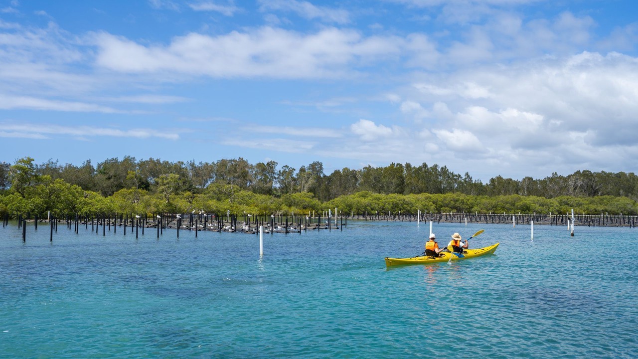 Photo of Others in Tuncurry