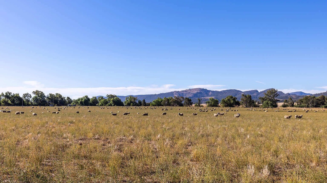 Photo of Others in Quirindi
