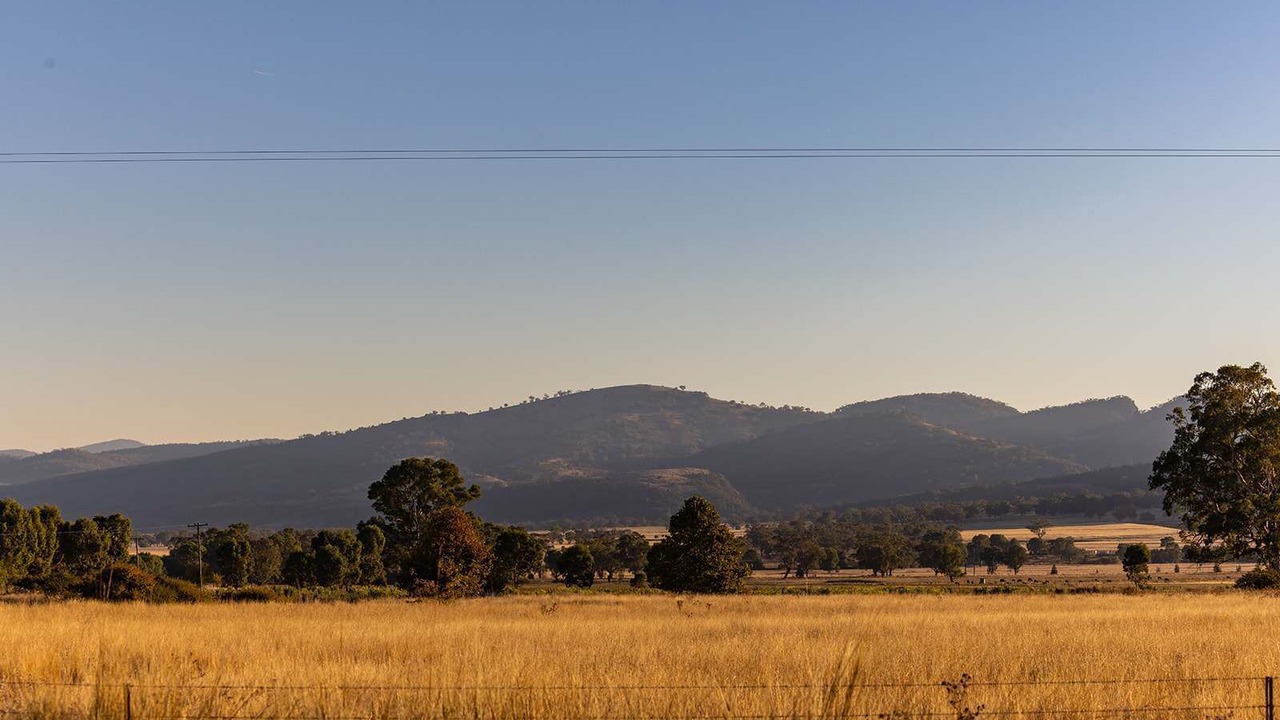 Photo of Others in Quirindi