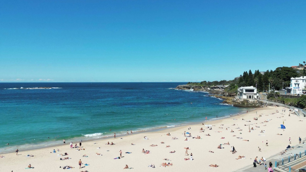 Photo of Others in Coogee
