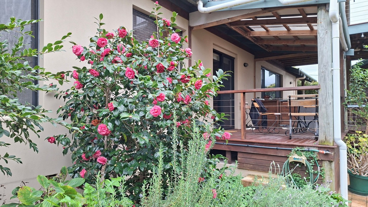 Photo of Outdoor in Augusta