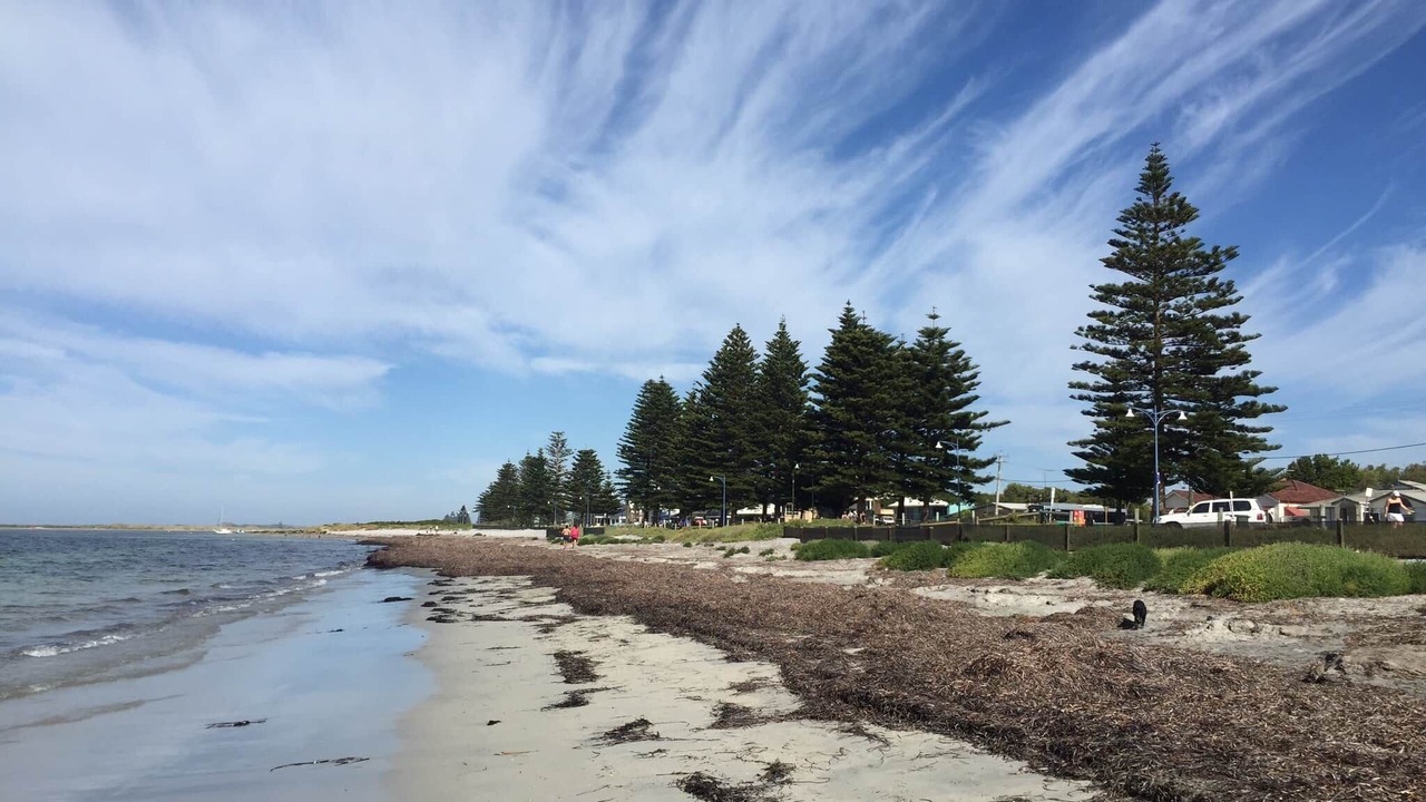Photo of Others in Shoalwater