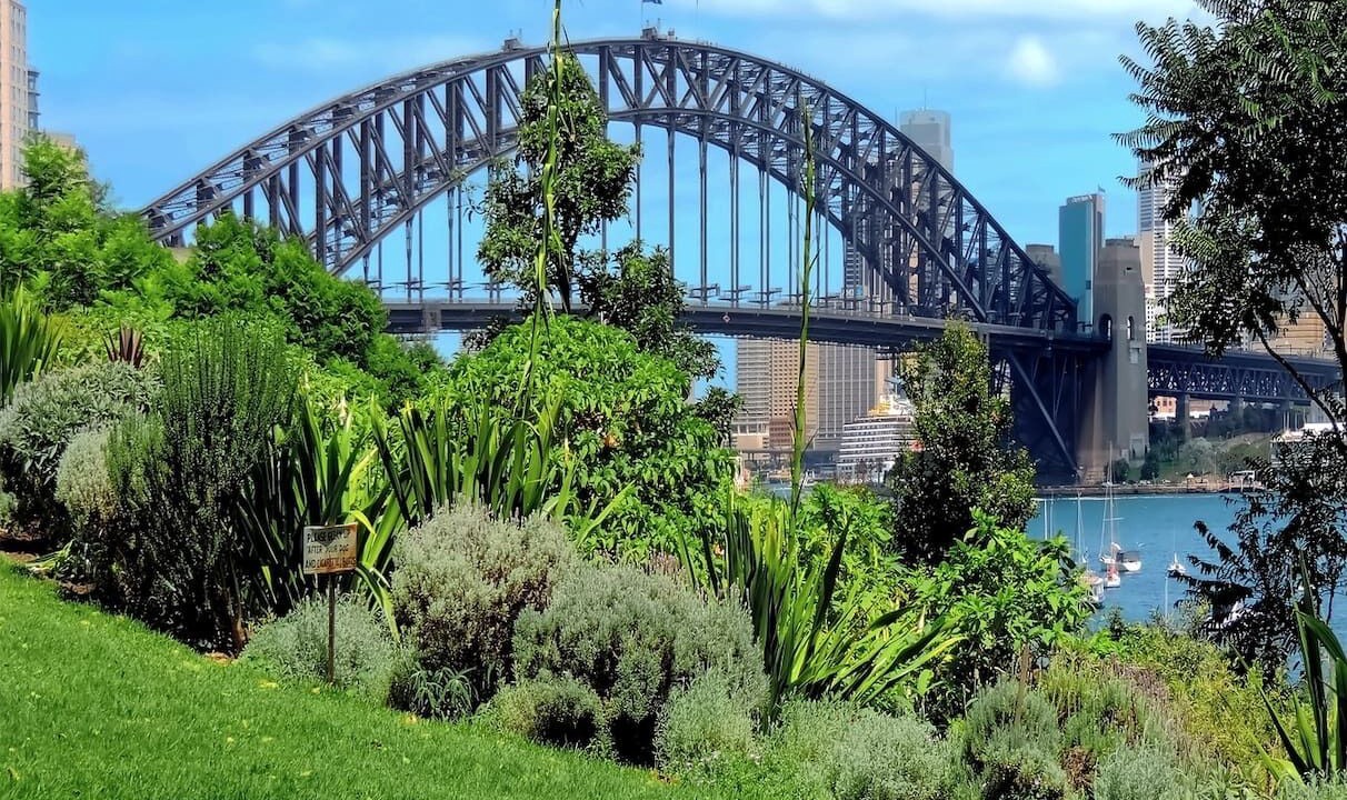 Photo of Others in McMahons Point