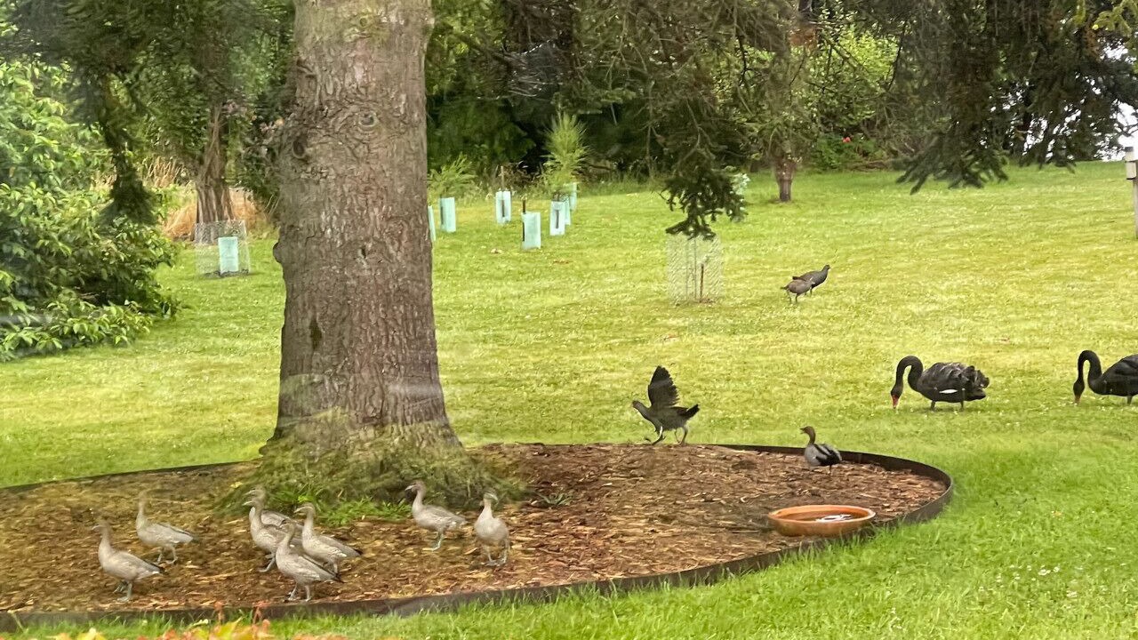Photo of Outdoor in Woodbridge