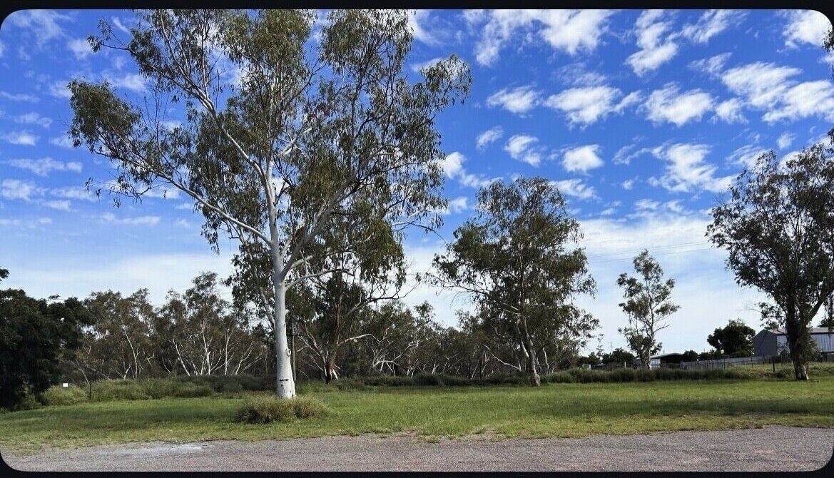 Photo of Others in Healy