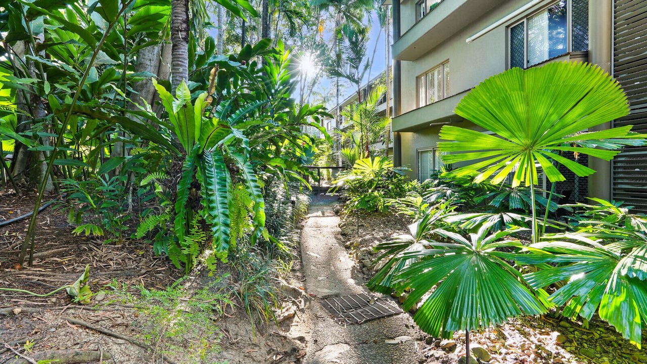 Photo of Outdoor in Port Douglas