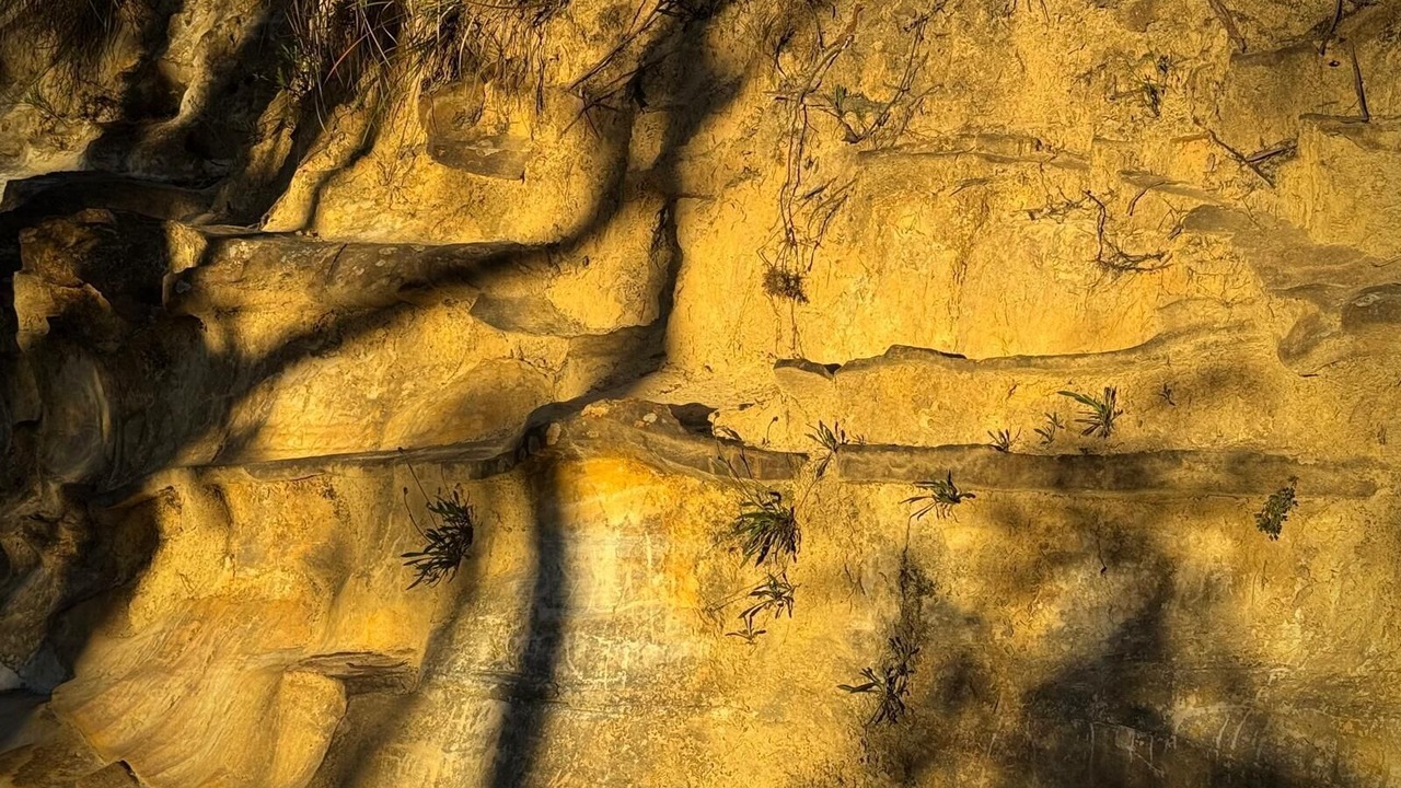 Photo of Others in Katoomba