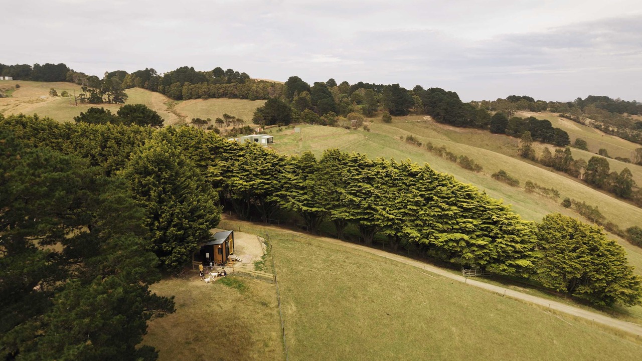 Photo of Outdoor in Foster North