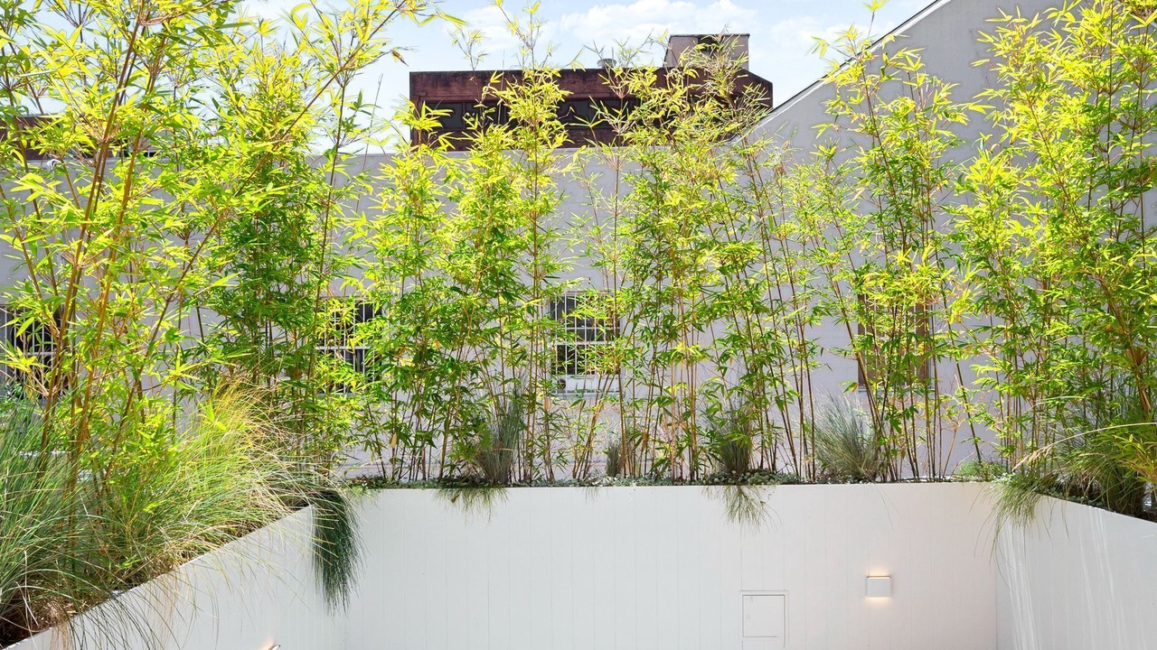 Photo of Outdoor in Surry Hills
