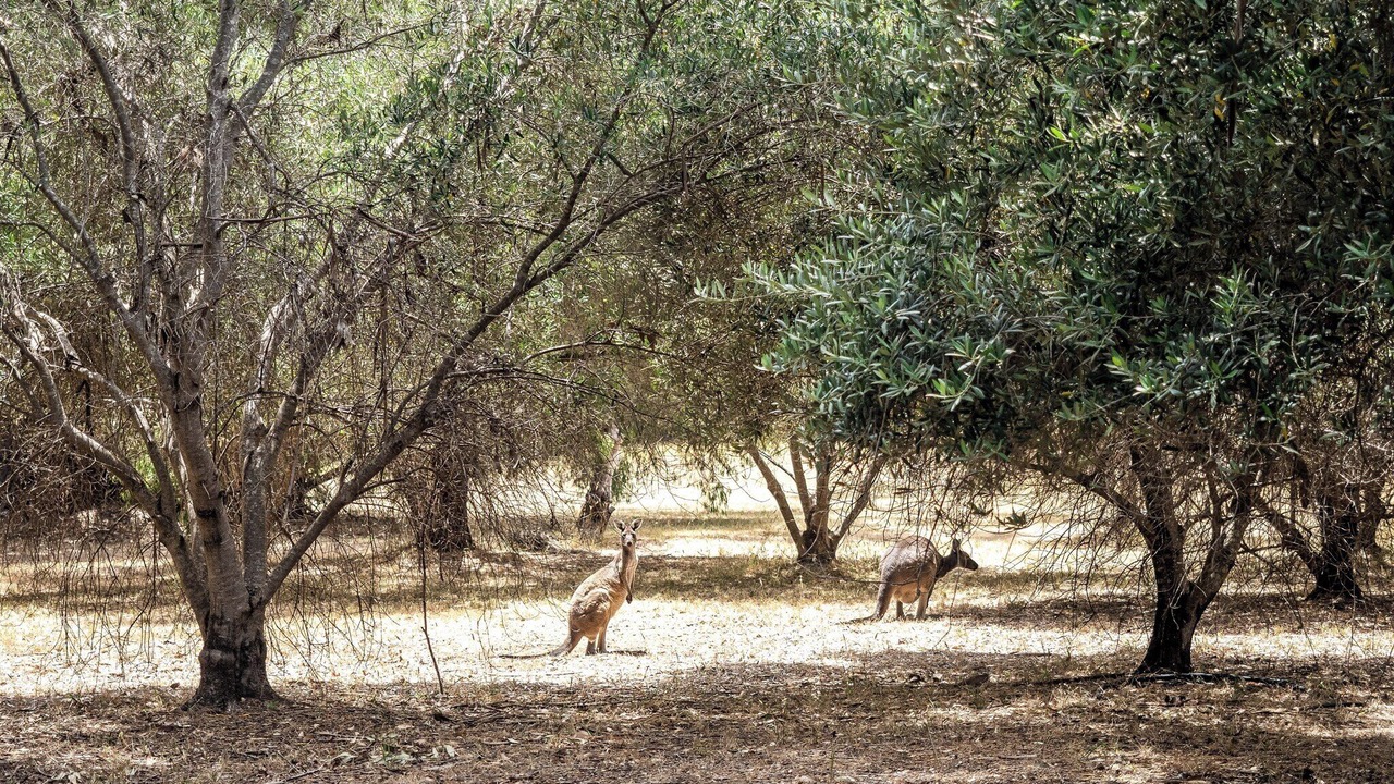 Photo of Others in Margaret River