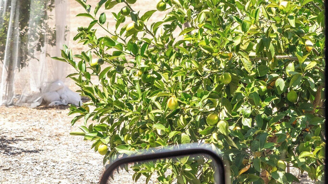 Photo of Others in Margaret River
