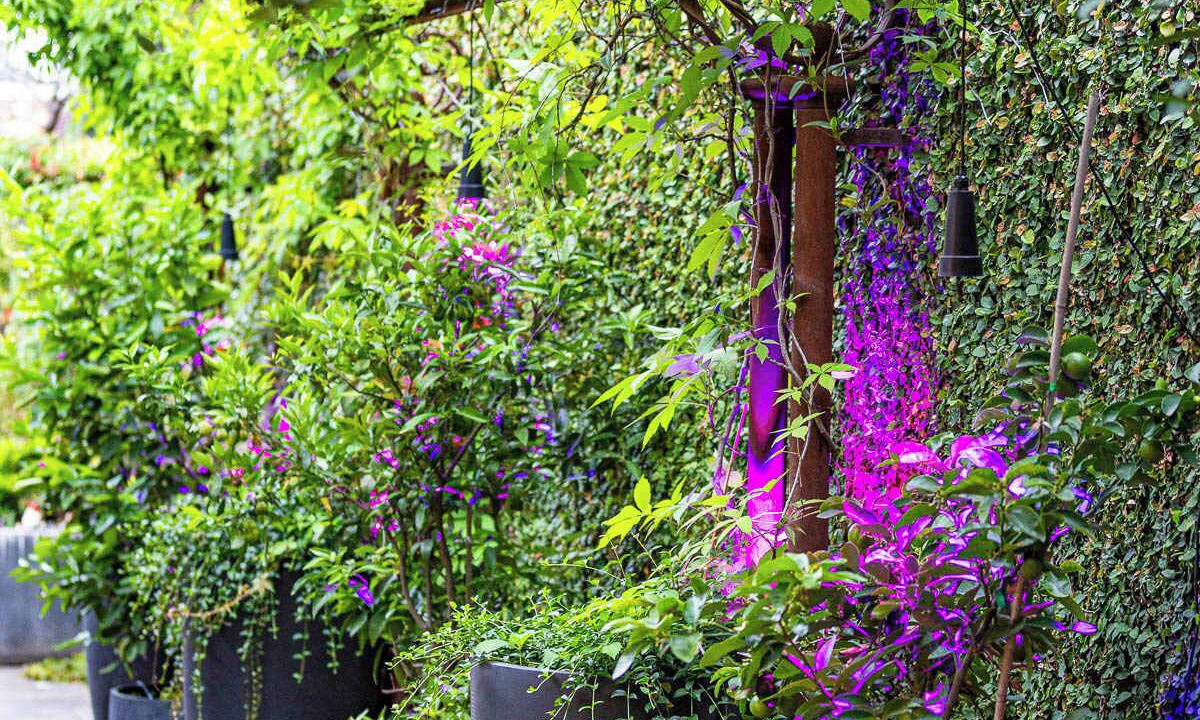 Photo of Outdoor in Fitzroy
