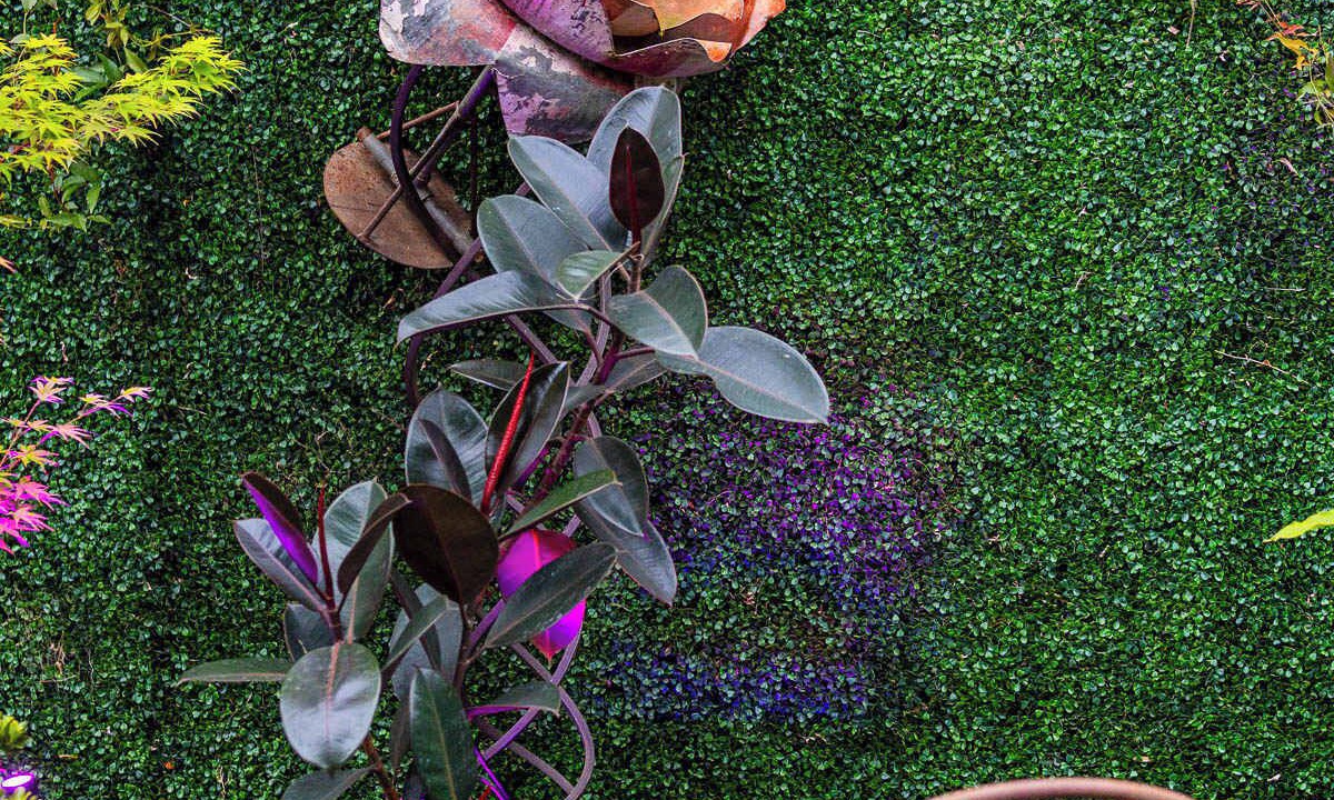 Photo of Outdoor in Fitzroy