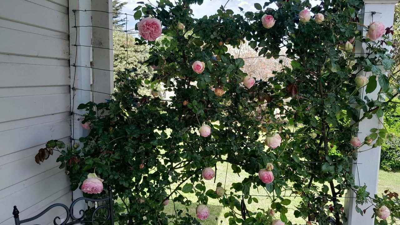 Photo of Outdoor in Exton