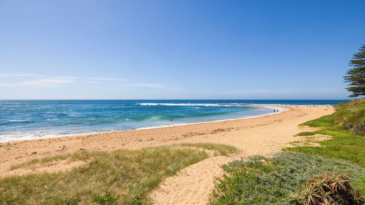 Photo of Others in Mona Vale