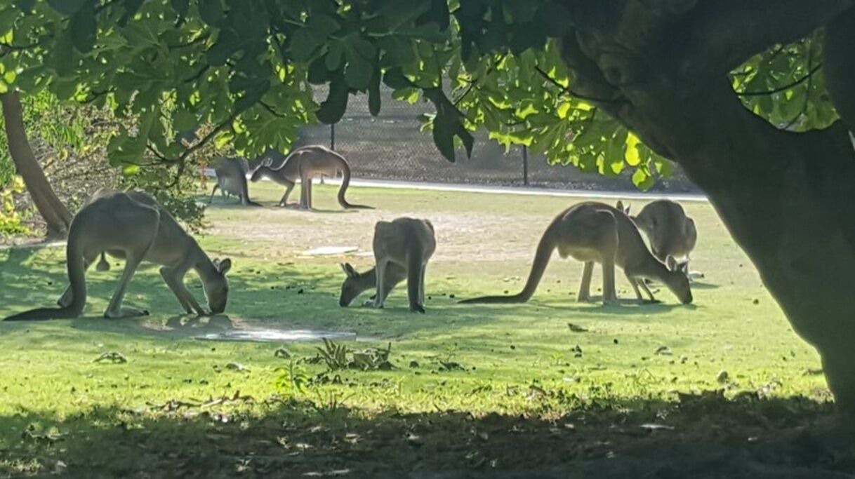 Photo of Others in Preston Beach