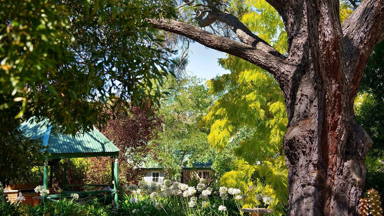 Photo of Outdoor in Hepburn Springs