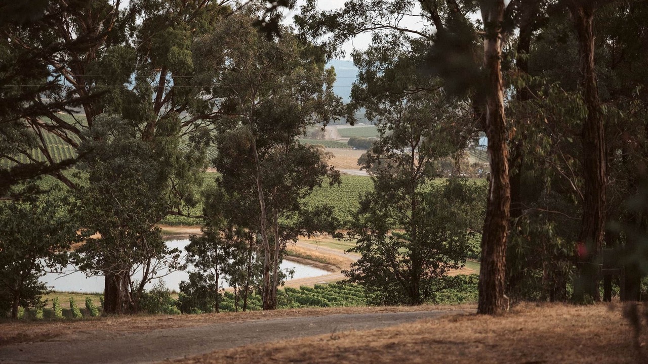 Photo of Outdoor in Dixons Creek