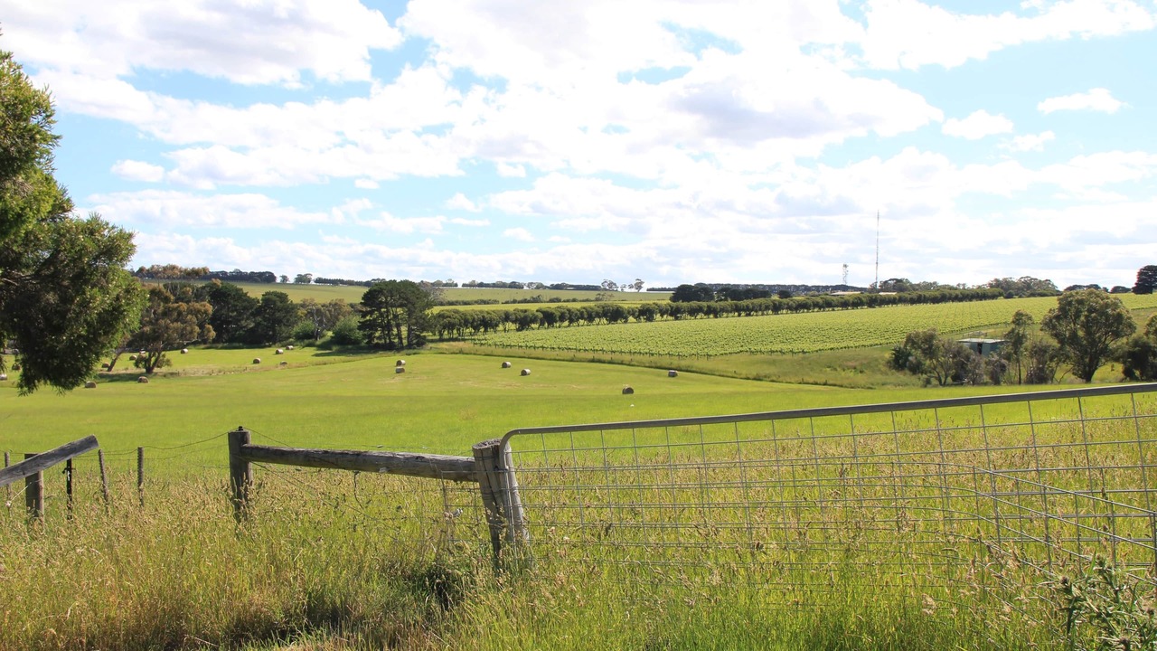 Photo of Others in Drysdale