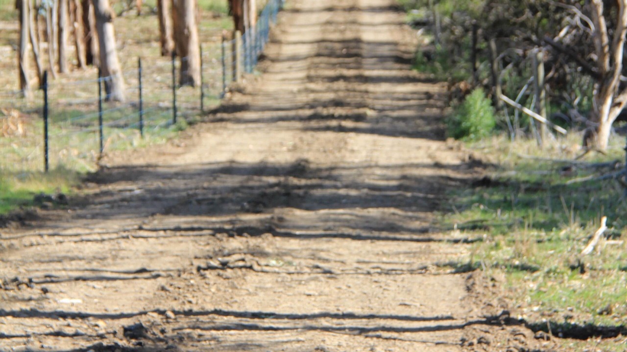 Photo of Others in Drysdale