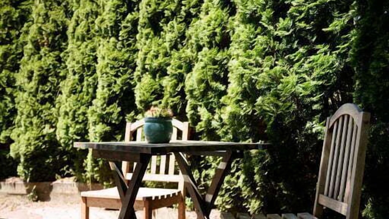 Photo of Outdoor in Riverside