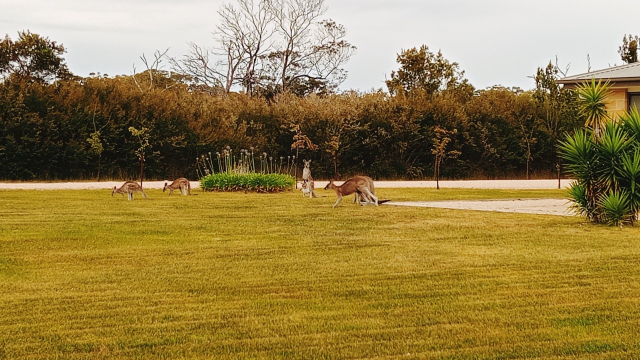 Photo of Outdoor in Raymond Island