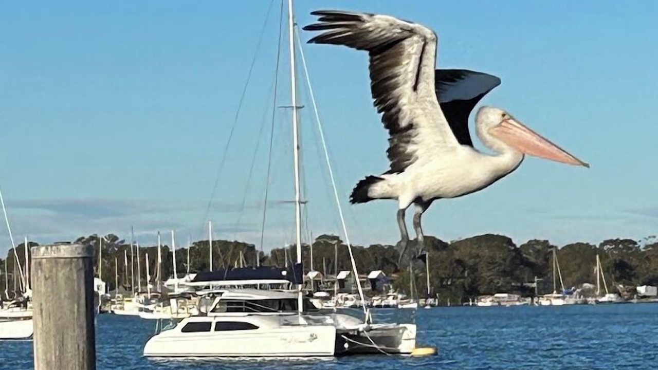 Photo of Outdoor in Raymond Island