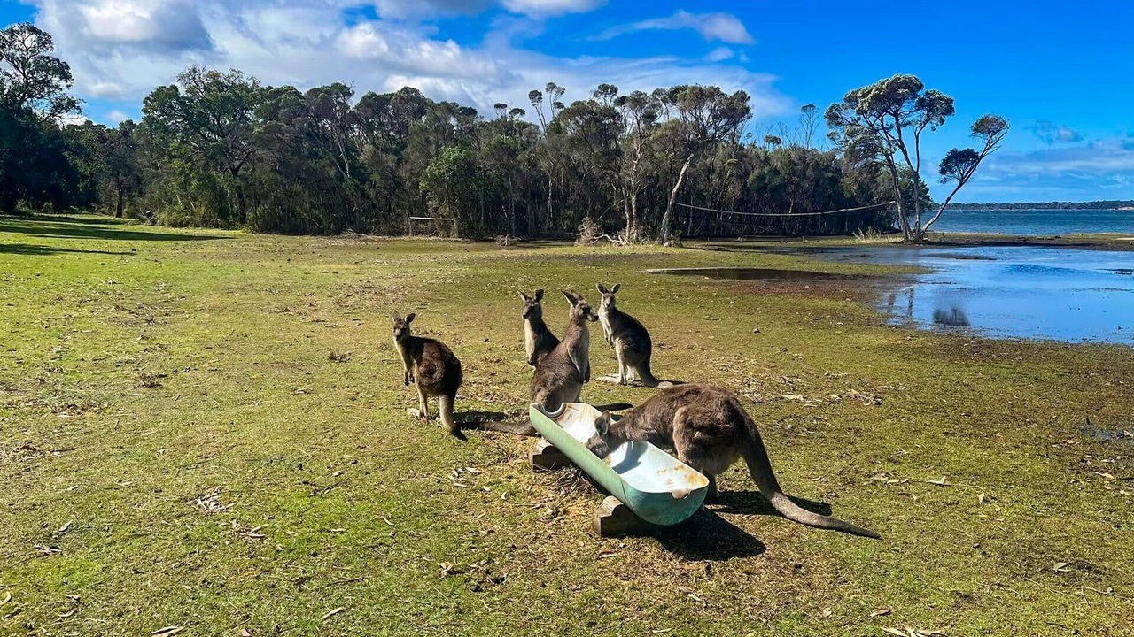 Photo of Others in Forge Creek