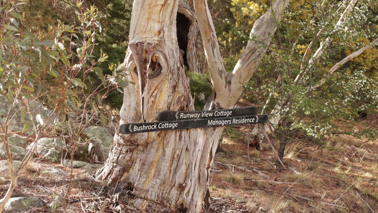 Photo of Outdoor in Jindabyne