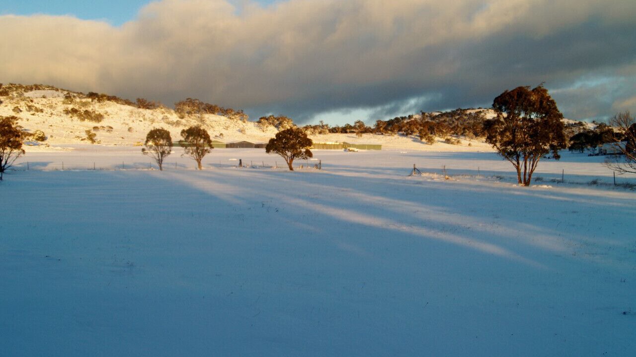 Photo of Others in Jindabyne