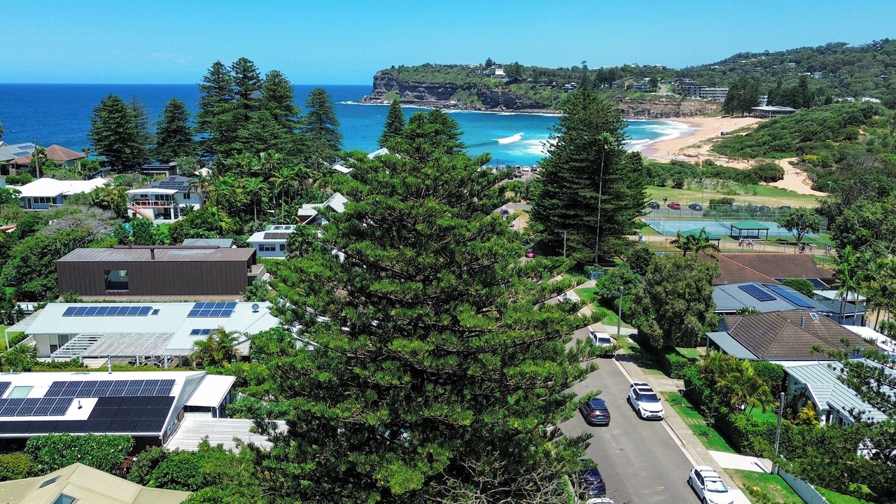 Photo of Outdoor in Avalon Beach