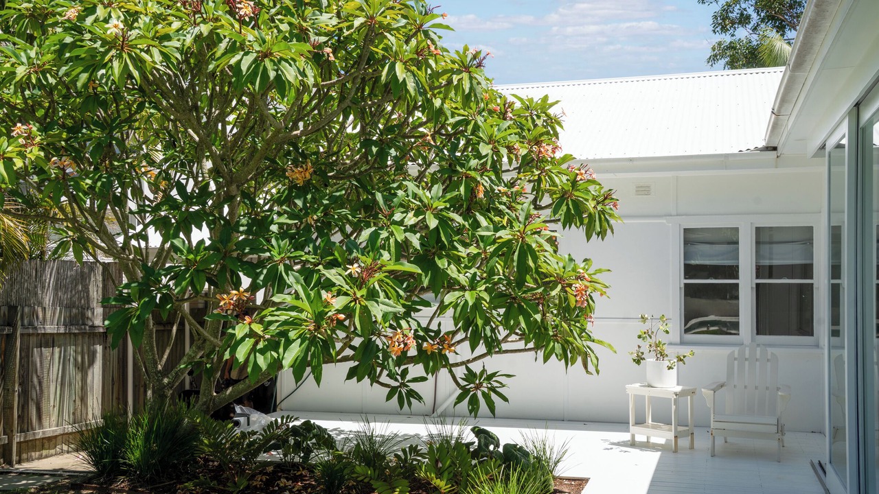 Photo of Patio Balcony in Avalon Beach