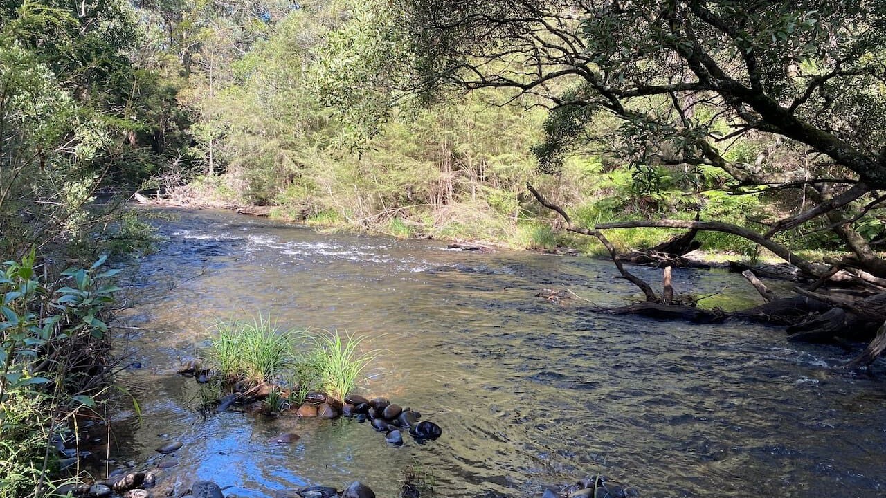 Photo of Others in East Warburton
