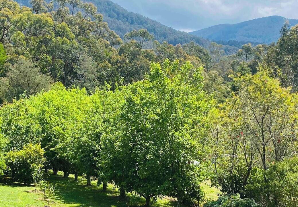 Photo of Outdoor in East Warburton