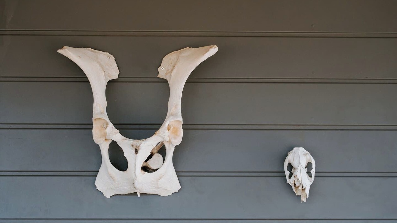 Photo of Outdoor in Buckaroo