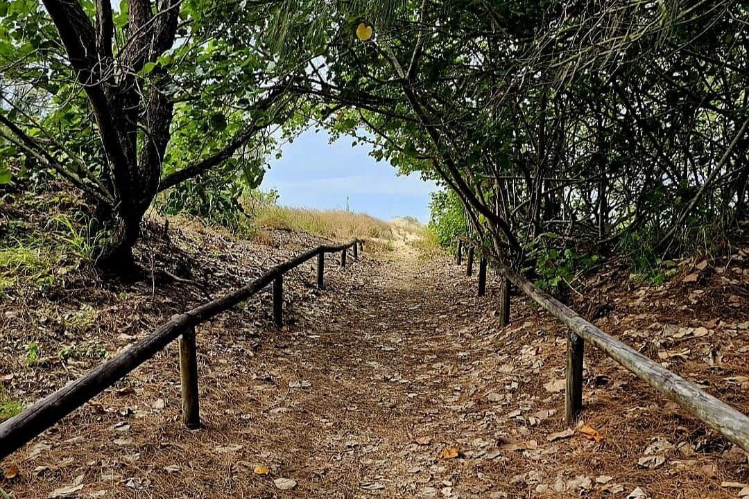 Photo of Others in South Mackay