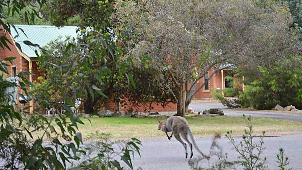 Photo of Others in Halls Gap