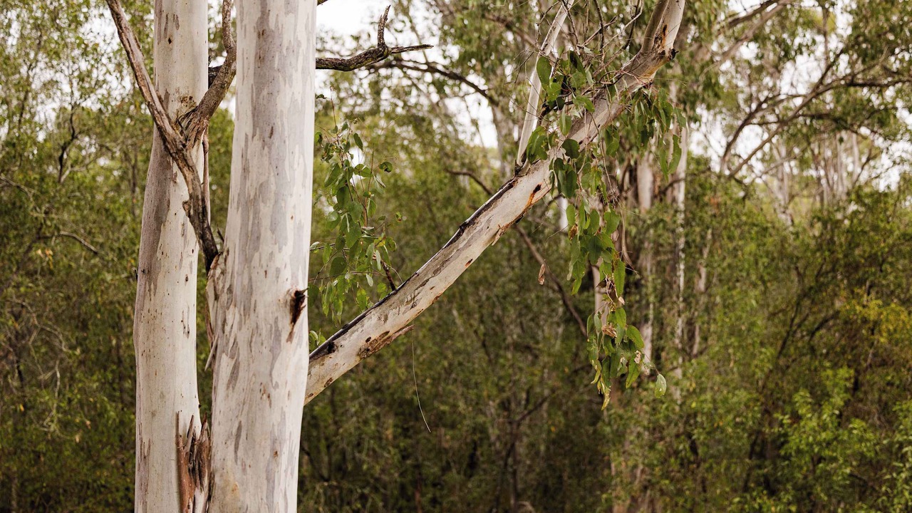 Photo of Others in Mundoolun