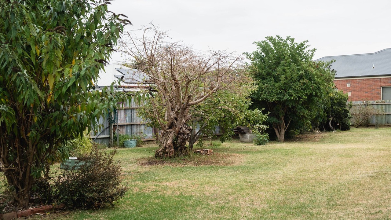 Photo of Outdoor in Port Fairy