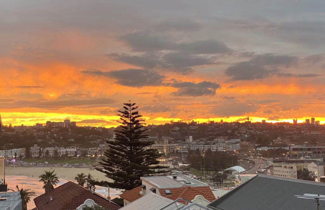 Photo of Others in North Bondi