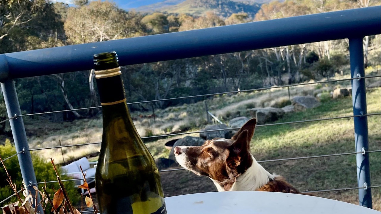 Photo of Others in Jindabyne