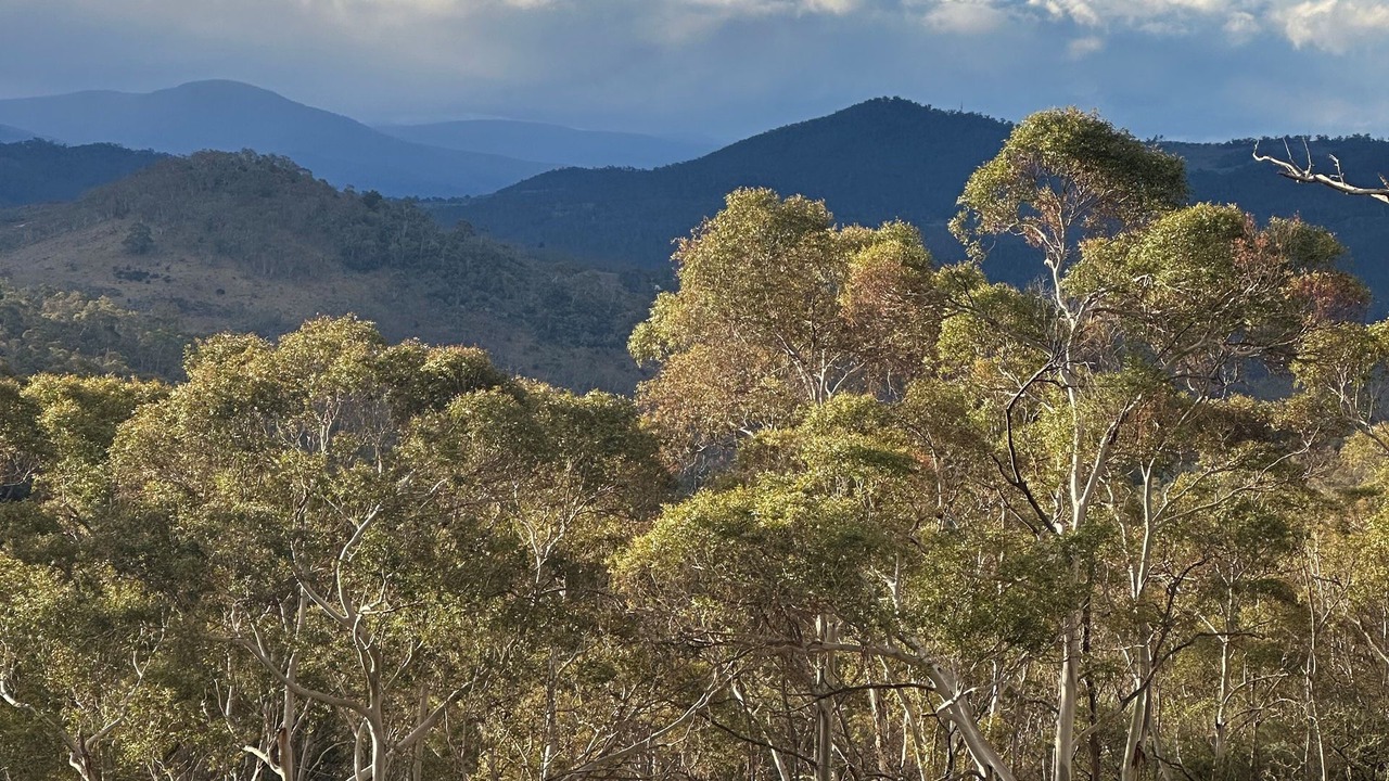 Photo of Others in Jindabyne