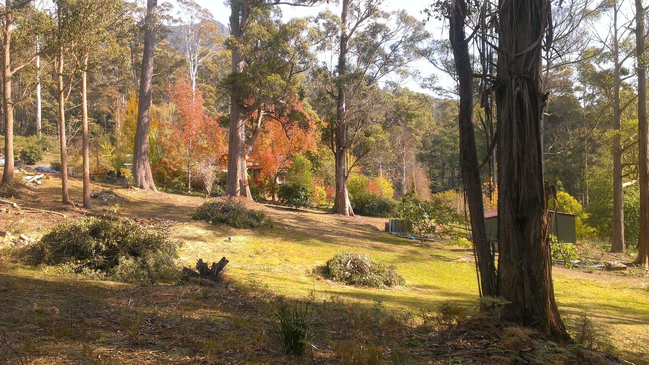 Photo of Outdoor in Golden Valley