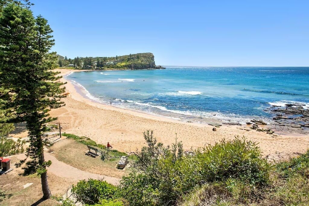 Photo of Others in Avalon Beach