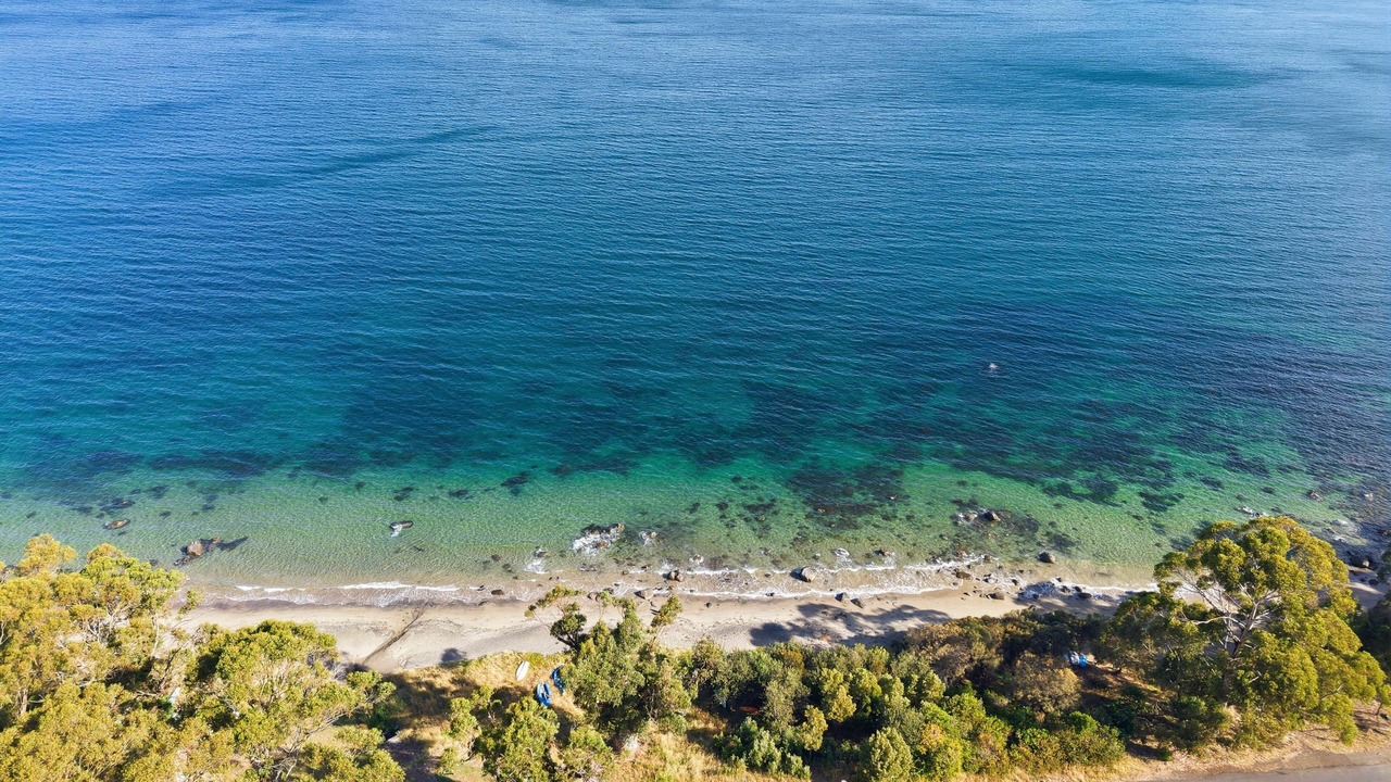 Photo of Others in Taroona